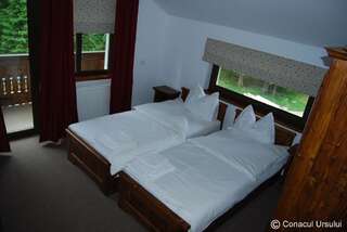 Гостевой дом Cabana Conacul Ursului Cumpăna Двухместный номер с 2 отдельными кроватями-2